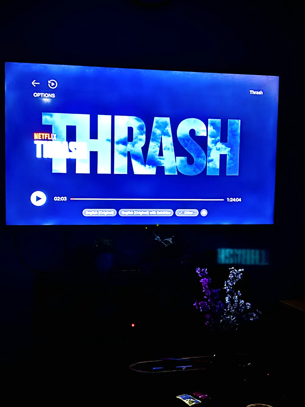 The Thrash title card on a television during a home movie night